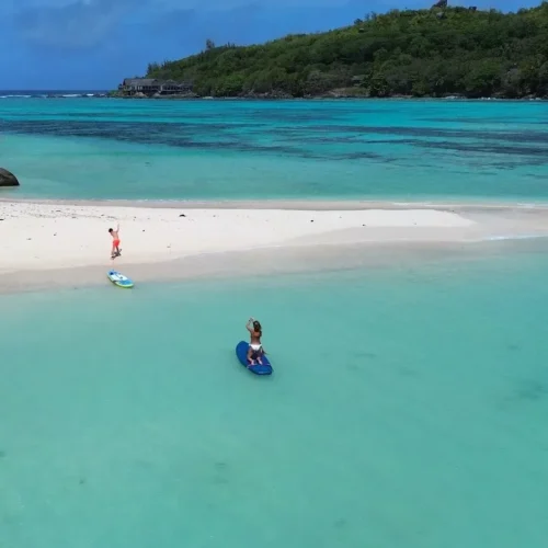 paddle (1)