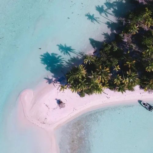 Design sans titre (88)