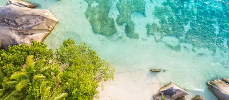 beach from sky